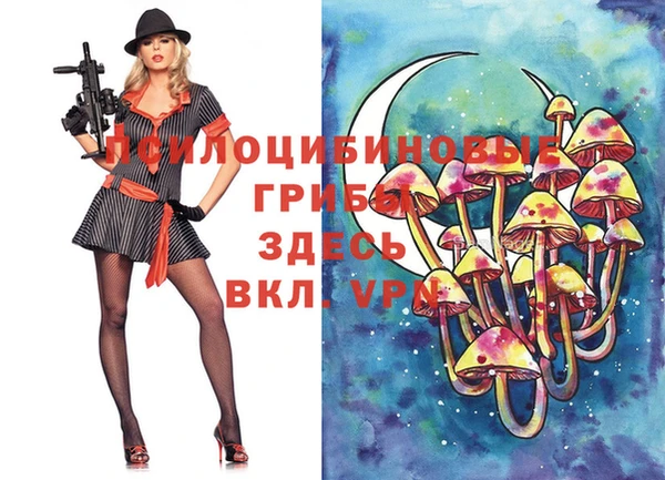 сатива Алзамай