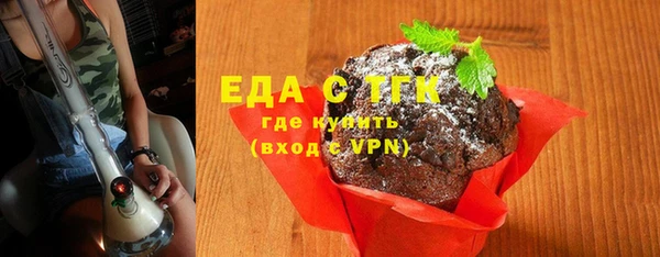 хмурый Алексин