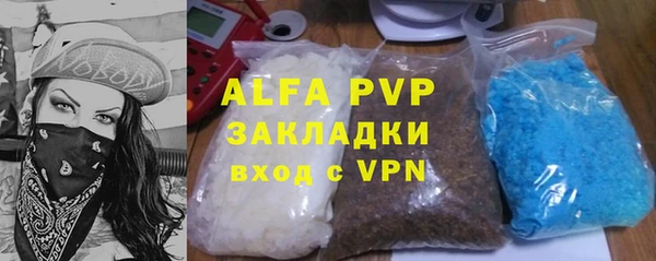 хмурый Алексин