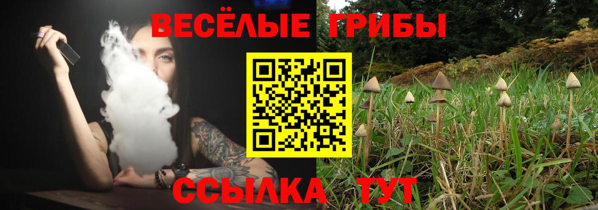 Галлюциногенные грибы мухоморы  Вход с VPN  Сыктывкар  Галлюциногенные грибы GOLDEN TEACHER 